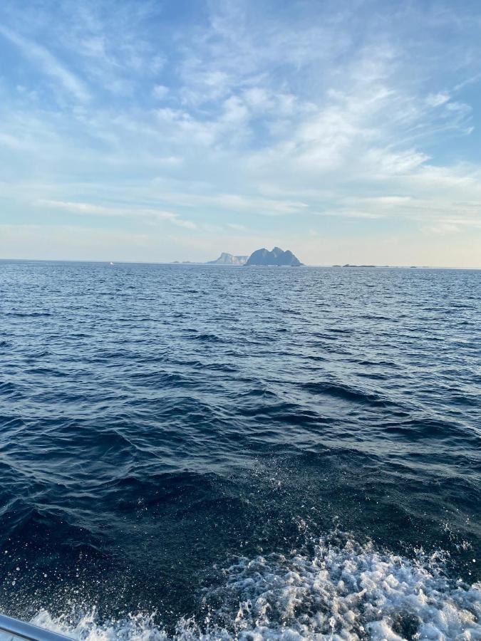 High End Sea Cabins At A In Lofoten Moskenes Eksteriør bilde